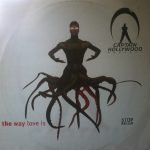 Captain Hollywood Project - The way love is (France)